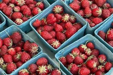 Alimentation éthique au quotidien : 7 gestes concrets