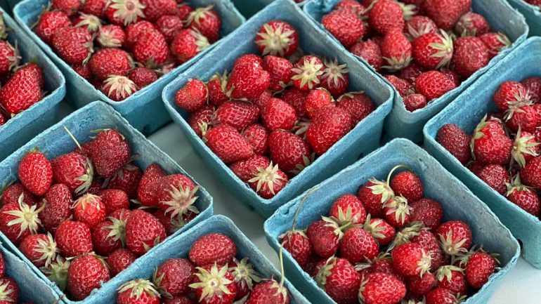 Alimentation éthique au quotidien : 7 gestes concrets