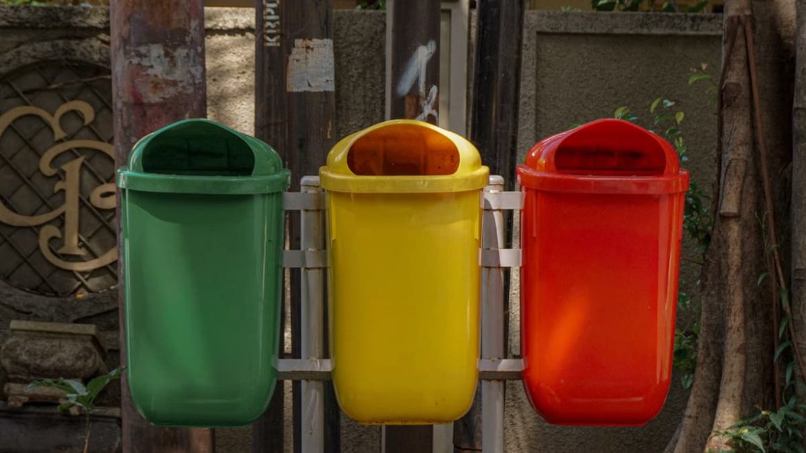 Devenir citoyen écologique actif : 7 actions concrètes