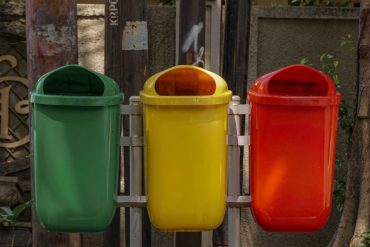 Devenir citoyen écologique actif : 7 actions concrètes